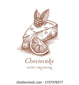 Сheesecake. Hand drawn engraving style illustrations.