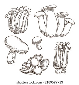 Hand drawn engraving style mushroom illustrations collection.