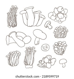 Hand drawn engraving style mushroom illustrations collection.