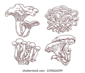 Hand drawn engraving style mushroom illustrations collection.