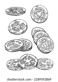 Hand drawn engraving style tomatoes illustrations