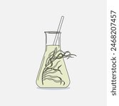 Hand drawn Erlenmeyer flask filled Giant kelp (Macrocystis pyrifera) algae and transparent liquid on a white background. Natural drawing graphic illustration