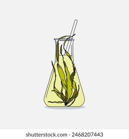 Hand drawn Erlenmeyer flask filled Seaweed kelp or laminaria seedling algae and transparent liquid on a white background. Natural drawing graphic illustration