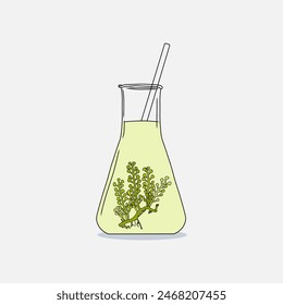 Hand drawn Erlenmeyer flask filled big sea grapes seaweed (Caulerpa racemosa) algae and transparent liquid on a white background. Natural drawing graphic illustration