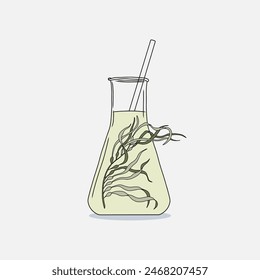 Hand drawn Erlenmeyer flask filled Giant kelp (Macrocystis pyrifera) algae and transparent liquid on a white background. Natural drawing graphic illustration