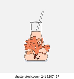 Hand drawn Erlenmeyer flask filled Red seaweed Rhodymenia pseudopalmata algae and transparent liquid on a white background. Natural drawing graphic illustration