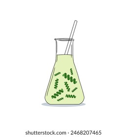 Hand drawn Erlenmeyer flask filled Spirulina algae and transparent liquid on a white background. Cyanobacteria that can be consumed by humans and animals, cultivated worldwide