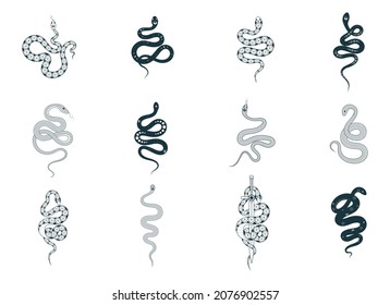 Hand drawn esoteric snakes set. Mystical witchy elements. Spiritual vector illustration for for design of t-shirts, fabrics, tattoo, cards and covers.