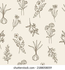 Hand drawn essential oil plants seamless pattern. Sketch garlic, carnation, black-eyed susan, celandine, dill, comfrey