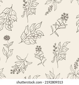 Hand drawn essential oil plants seamless pattern. Palo santo, Peru balsam, ledum, vitex, spikenard, saro illustration