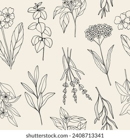 Hand drawn essential oil plants	background. Oregano, neroli, myrtle, tarragon, primrose, sage, lavender, verbena