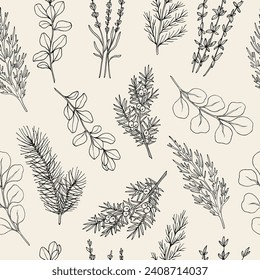 Hand drawn essential oil plants seamless pattern. Cypress, pine, thyme, cedar, eucalyptus, lavender, juniper, marjoram