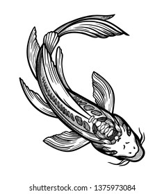 Hand drawn ethnic fish Koi carp - symbol of harmony, wisdom. Vector illustration isolated. Spiritual art for tattoo. Beautifully detailed, serene.