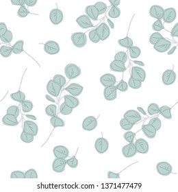 Hand drawn eucalyptus branches seamless pattern. Floral texture with plant objects on white background. Natural wallpaper.