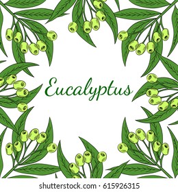Hand drawn eucalyptus leaves and fruits, plant, branch, berry. Sketch ink illustration, isolated. Square banner, frame, border. Ingredient for hair and body care cream, lotion, treatment, moisture. 