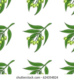 Hand drawn eucalyptus leaves and fruits. Eucalyptus plant, branch, berry. Sketch illustration, seamless pattern. Ingredient for hair and body care cream, lotion, treatment, moisture. 