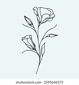 Hand drawn eustoma sketch, Eschscholzia buds flower, leaf, set of lisianthus flowers vector, illustration outline drawing, botanical black and white line art, lineart leaves and stems in engraving