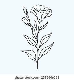 Hand drawn eustoma sketch, Eschscholzia buds flower, leaf, set of lisianthus flowers vector, illustration outline drawing, botanical black and white line art, lineart leaves and stems in engraving