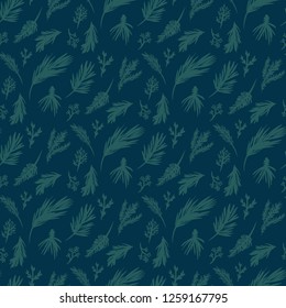 Hand Drawn Evergreen Branches Seamless Pattern Print.Fir,Pine,Cedar,Long needled pine, Berried juniper Illustration