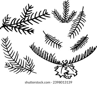 Hand drawn evergreen tree branches. Conifer branches in black and white. Pine tree branches set.Christmas pine branch and cone.