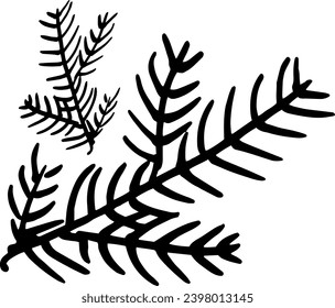 Hand drawn evergreen tree branches. Conifer branches in black and white. Pine tree branches set.Christmas pine branch and cone.