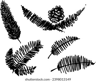 Hand drawn evergreen tree branches. Conifer branches in black and white. Pine tree branches set.Christmas pine branch and cone.