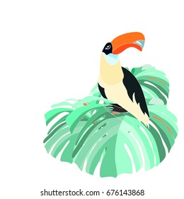 Hand drawn exotic bird toucan sitting on tropical tree isolated on white background. Toucan Toco. Happy toucan. Vector illustration 