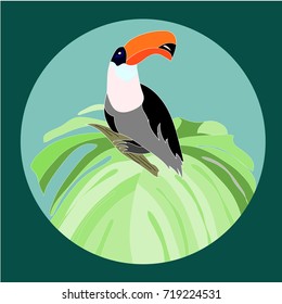 Hand drawn exotic bird toucan sitting on tropical palm. Happy toucan. Toucan Toco. Watching Toucan through binoculars. Vector illustration