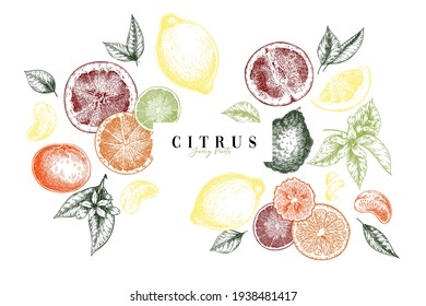 Hand drawn exotic citrus fruits. Vector orange, lemon, grapefruit, mandarine, tangerine, lime, bergamot, whole and sliced with leaf and blossom. Engraved illustration. Menu, package cosmetic design