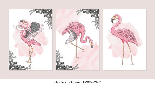 hand drawn exotic flamingo poster template collection