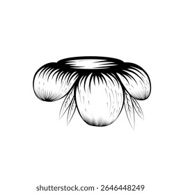 Hand Drawn Exotic Flower Illustration Black and White Botanical Sketch Vector