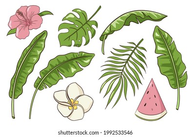 Hand Drawn Exotic Flowers and Leaves Vector Isolated Elements Collection, nature tropic decorative set. Botanical elements for logo, cosmetics, spa, beauty care products, emblems, stickers and print