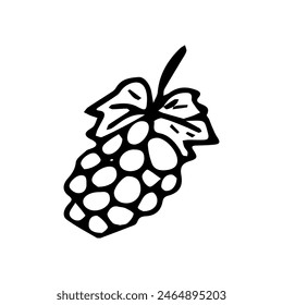 Hand drawn exotic fruit doodles. Cute tropical food sketch, summer fresh organic ingredients vector illustration