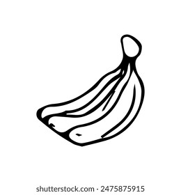 Hand drawn exotic fruit doodles. Cute tropical food sketch, summer fresh organic ingredients vector illustration