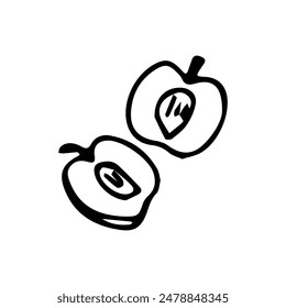 Hand drawn exotic fruit doodles. Cute tropical food sketch, summer fresh organic ingredients vector illustration