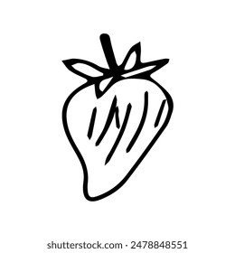 Hand drawn exotic fruit doodles. Cute tropical food sketch, summer fresh organic ingredients vector illustration