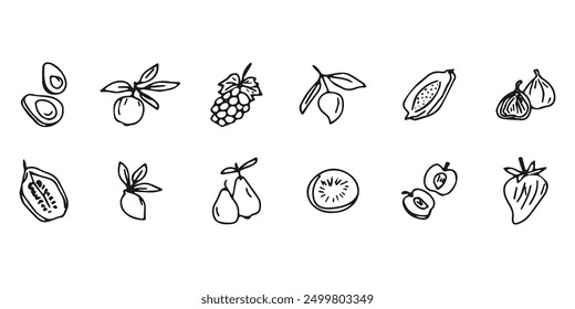 Hand drawn exotic fruit doodles. Cute tropical food sketch, summer fresh organic ingredients vector illustration