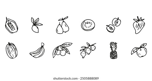 Hand drawn exotic fruit doodles. Cute tropical food sketch, summer fresh organic ingredients vector illustration