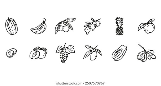Hand drawn exotic fruit doodles. Cute tropical food sketch, summer fresh organic ingredients vector illustration