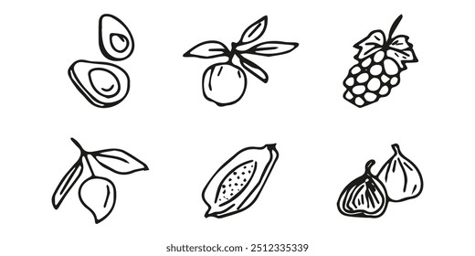 Hand drawn exotic fruit doodles. Cute tropical food sketch, summer fresh organic ingredients vector illustration