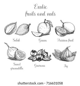 Hand drawn exotic fruits and nuts