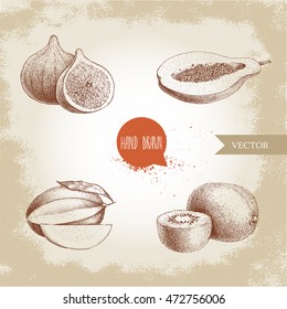 Hand drawn exotic fruits set. Fig fruit, papaya cut with seeds, mango and kiwi fruits. Eco food sketch vector illustration on old background.