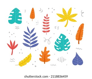 Hand drawn exotic leaves set. Palm, banana, monstera, aralia leaves. Botanical design elements. Vector illustration.