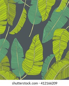 Hand drawn exotic leaves set.