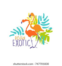 Hand drawn exotic logo template with couple of flamingo birds