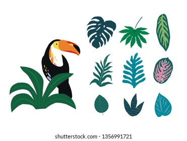 Hand drawn exotic pattern with toucan and tropical leaves. fresh summer pattern for textile, paper, decor and greeting cards