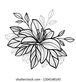 hand drawn exotic tropical lily petals flower seamless art for tattoo or decor composition . vector illustration romantic botanic island theme black contour graphic plant isolated on white background