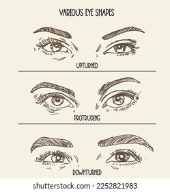 hand drawn eye expression vector illustration