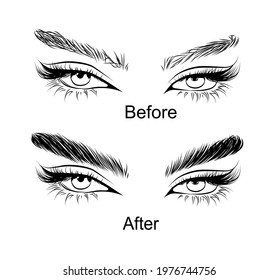 Hand drawn eye illustration eyebrow lamination. Before and after results. Eyebrow poster for salons, banners, posters