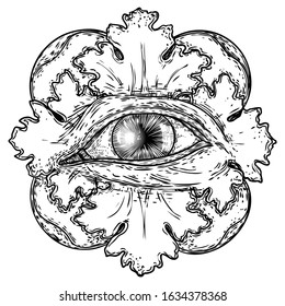 Hand drawn eye iris as element of All seeing eye of providence variation in decorative circle.  Black work tattoo flash of Masonic symbol design. Sacred religion, spirituality and occultism. Vector.